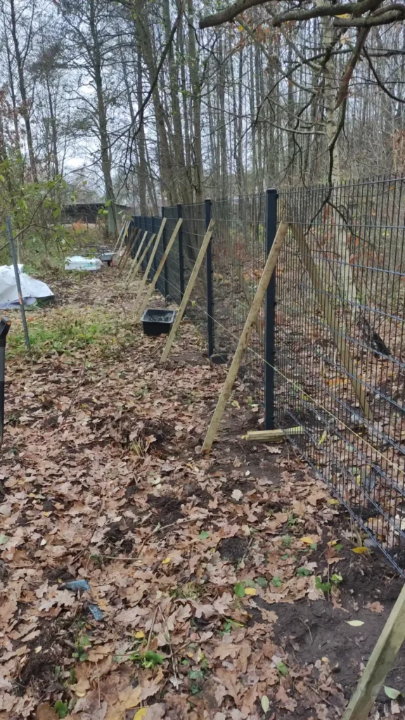 Zaun aus Doppelstabmatten